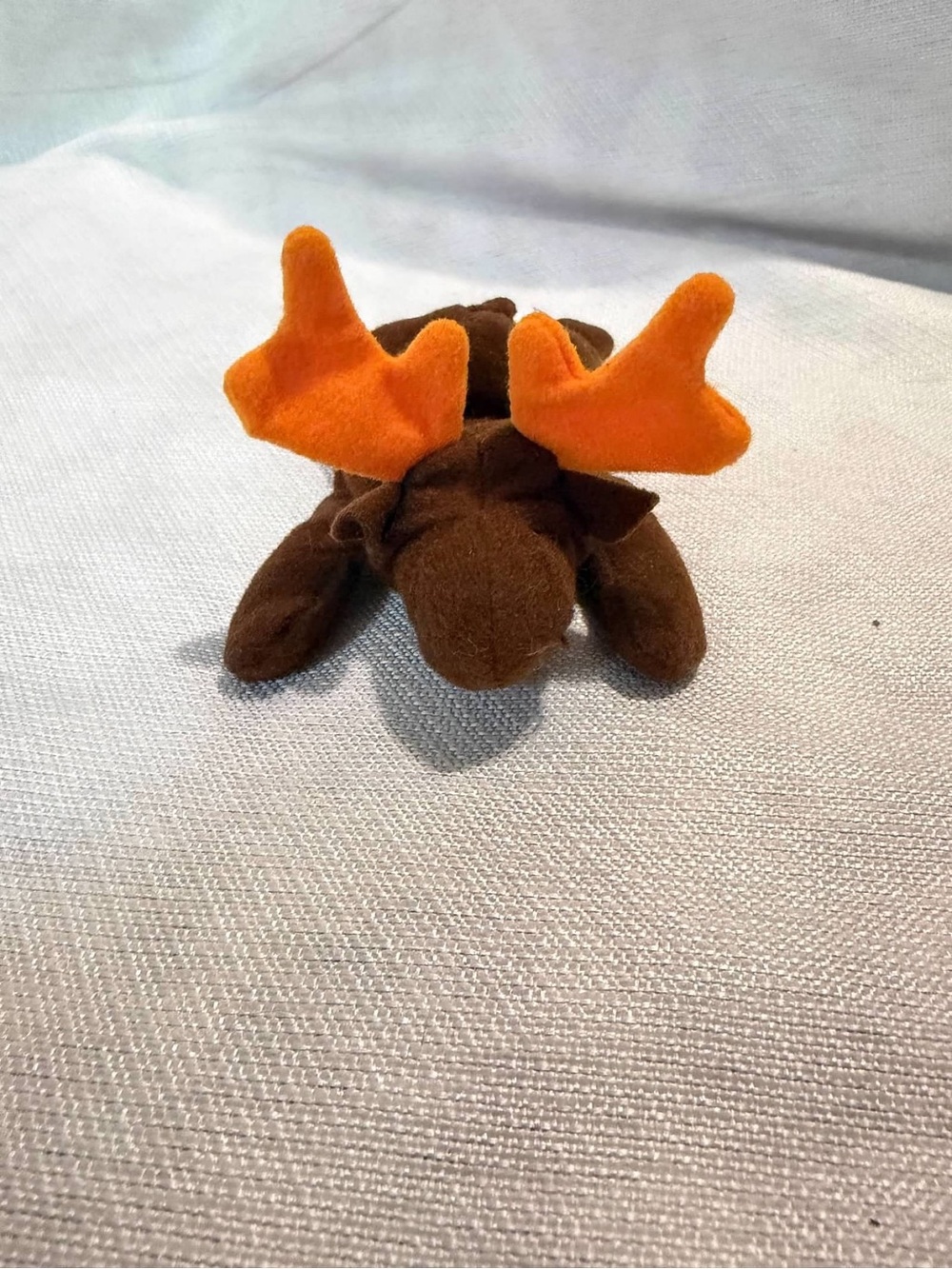 TY Teenie Beanie Babies Chocolate the Moose Mini Plush